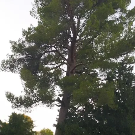 Gioia Civita Fabriano