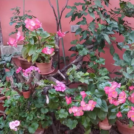 Gioia Civita Panzió