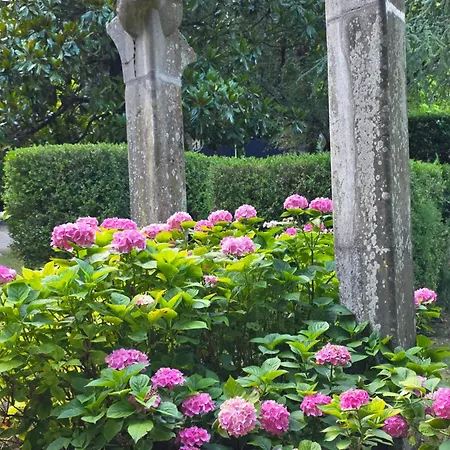 Gioia Civita Fabriano