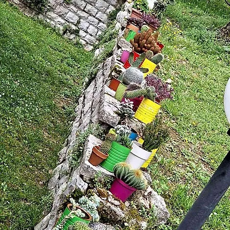 Gioia Civita